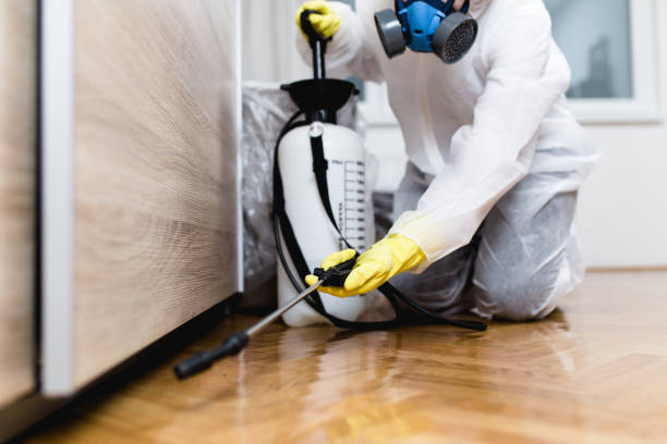 Best Commercial Pest Control Services  in Vinings, GA