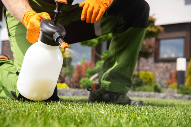 Best Bed Bug Extermination  in Vinings, GA