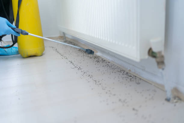 Best Affordable Pest Control Services  in Vinings, GA